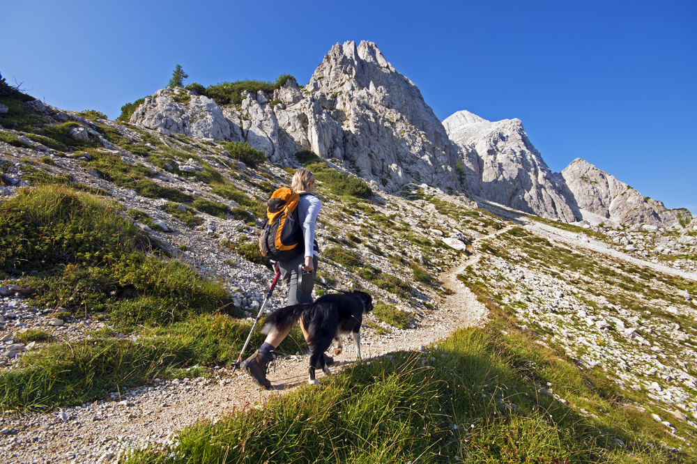 Best Hiking Trails in Los Angeles for Dog Lovers and Nature Fans