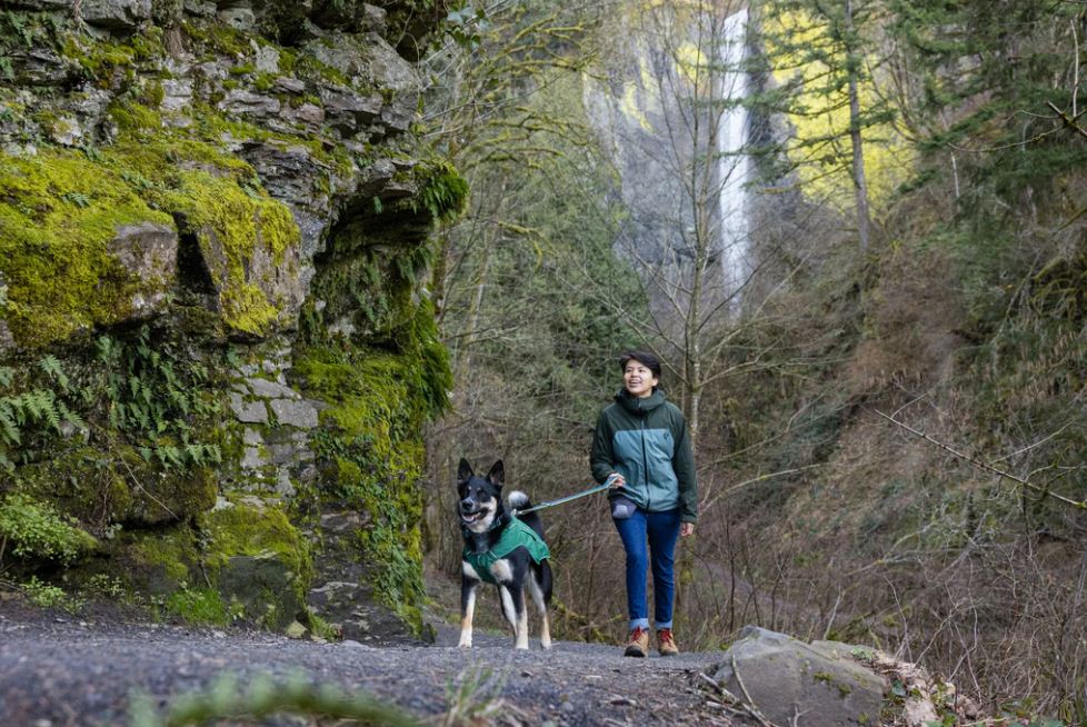 Dog Friendly Hiking Trails in Los Angeles
