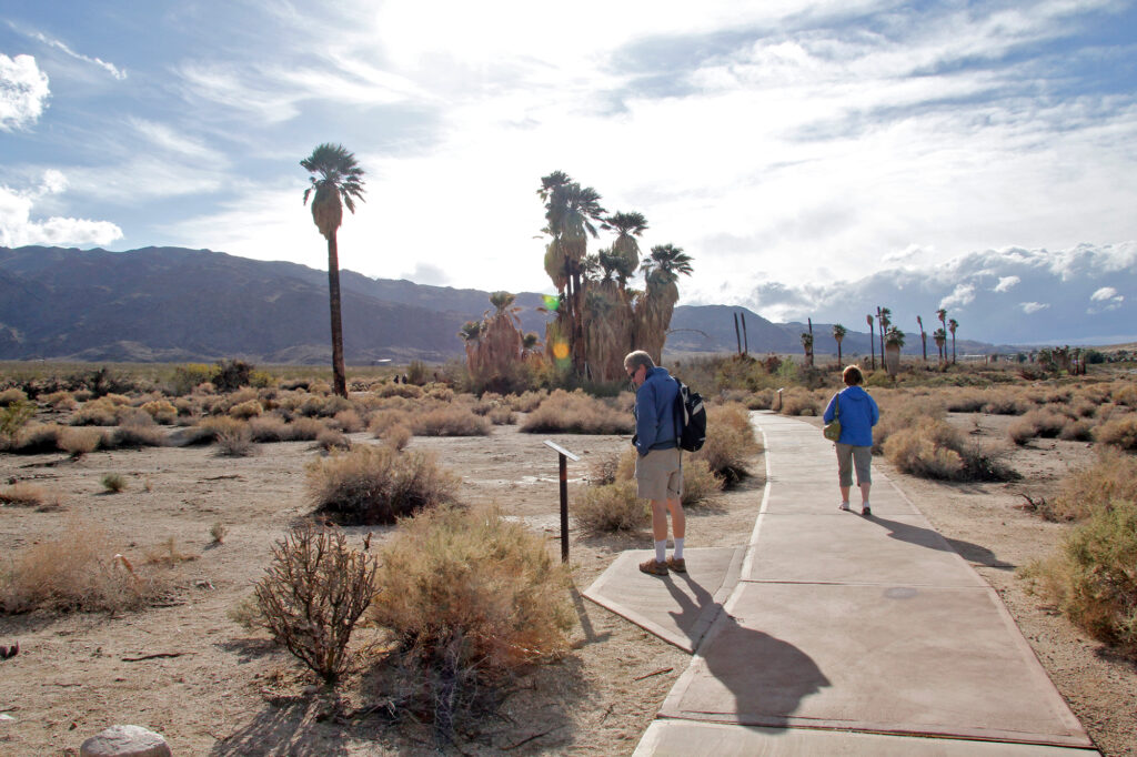 Must Visit Los Angeles Trails for Nature Fans