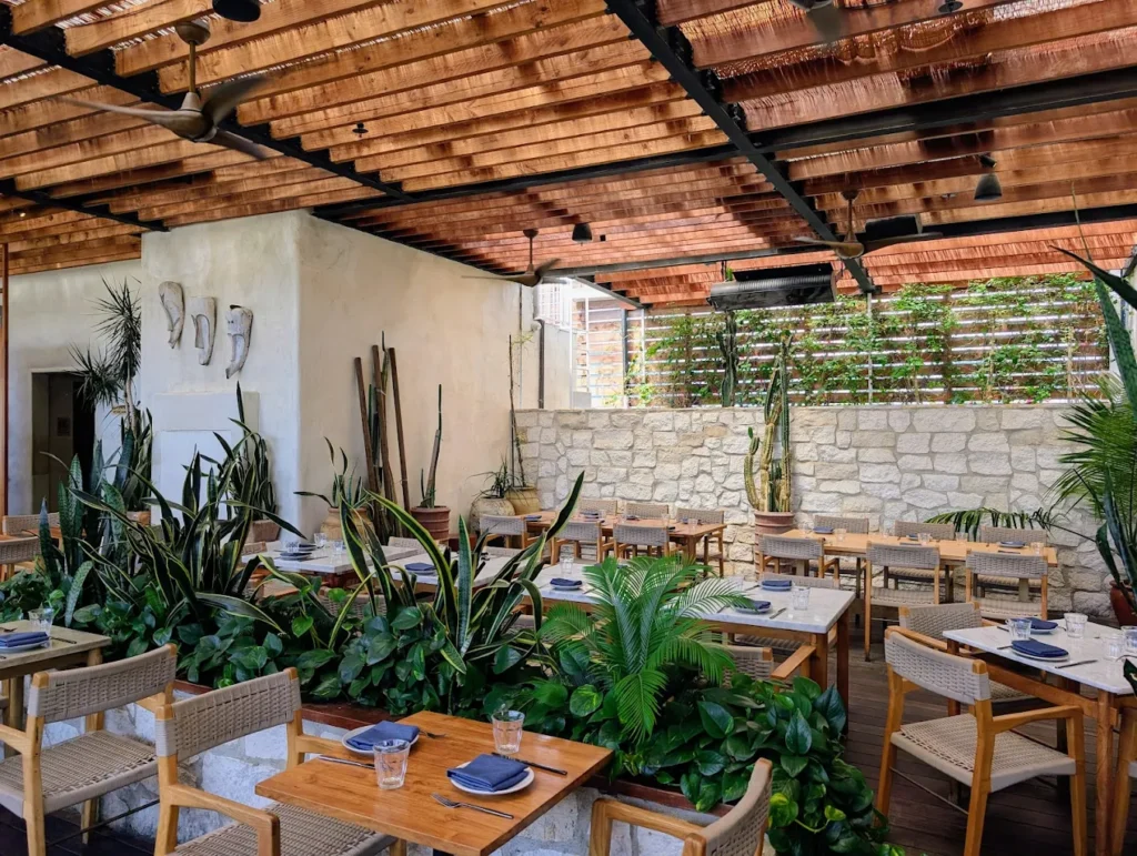 Mediterranean brunch at Élephante